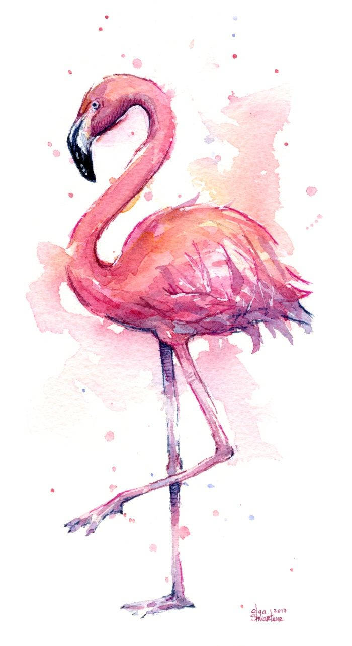 700X1282 Flamingo Wallpaper and Background