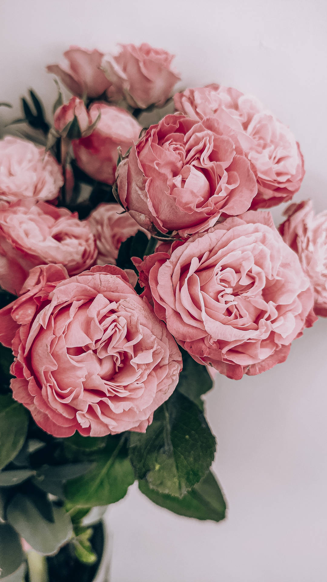 2250X4000 Floral Wallpaper and Background