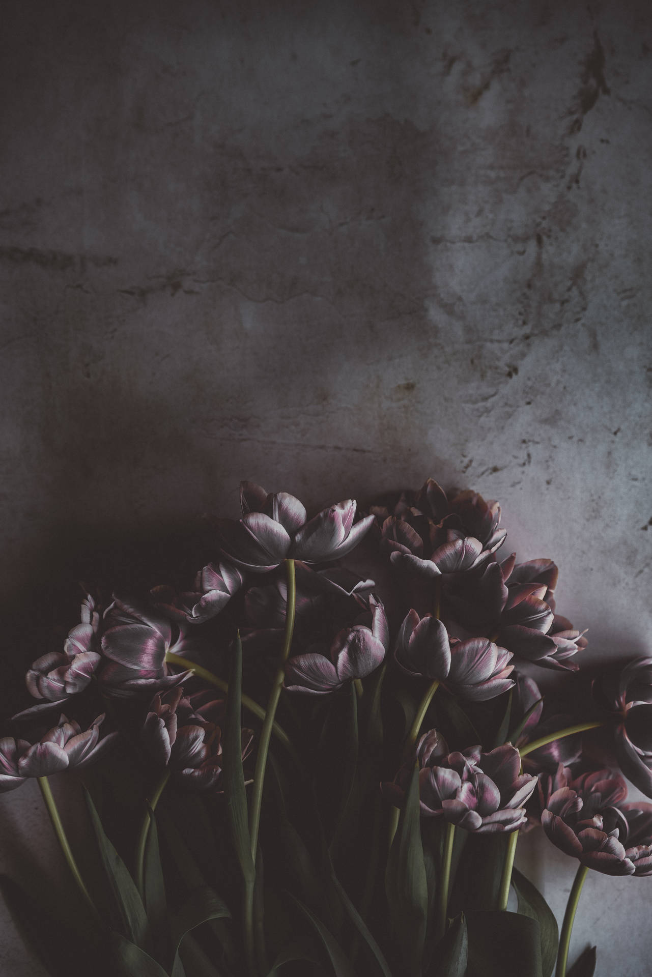 5304X7952 Floral Wallpaper and Background
