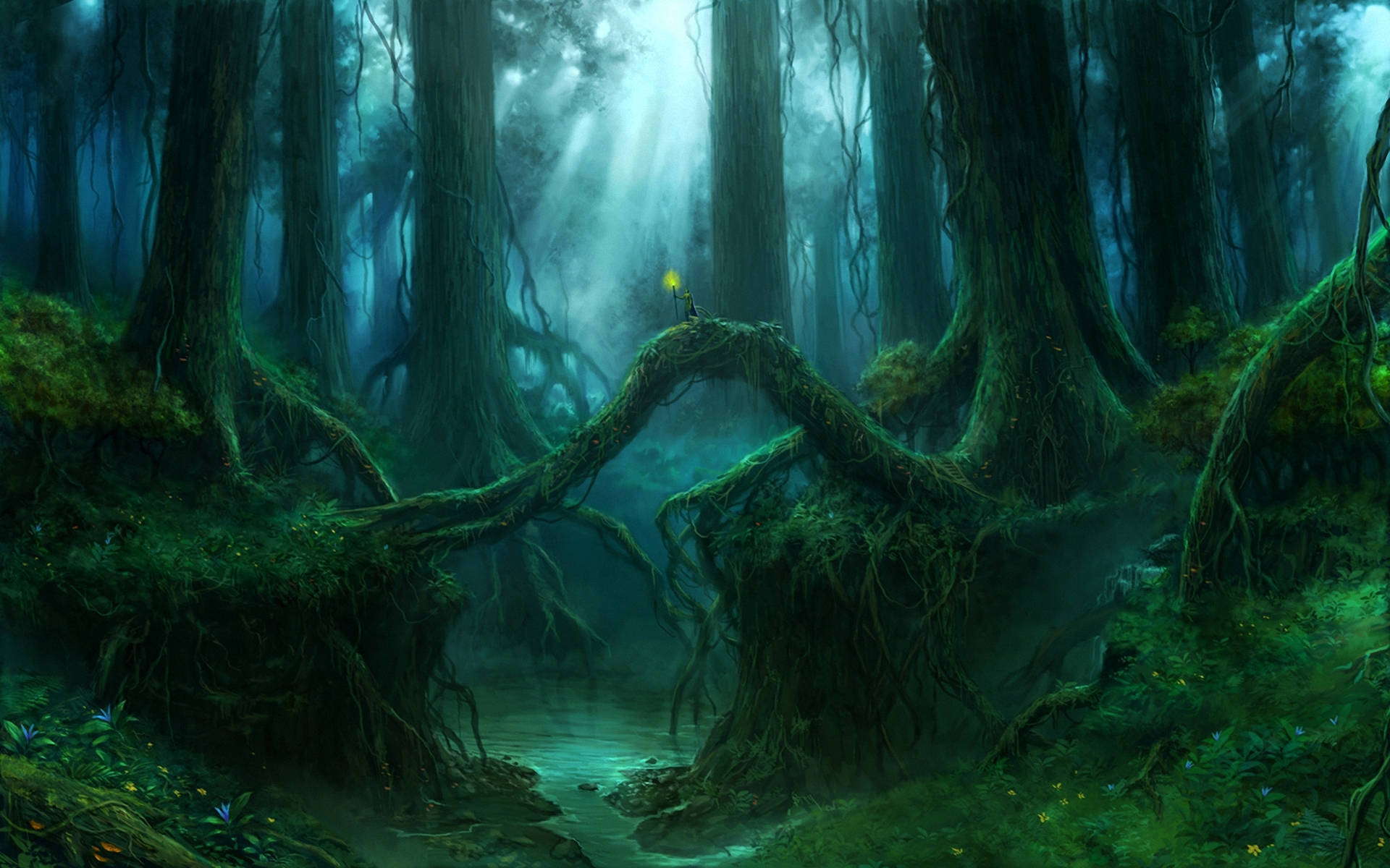 1920X1200 Forest Wallpaper and Background