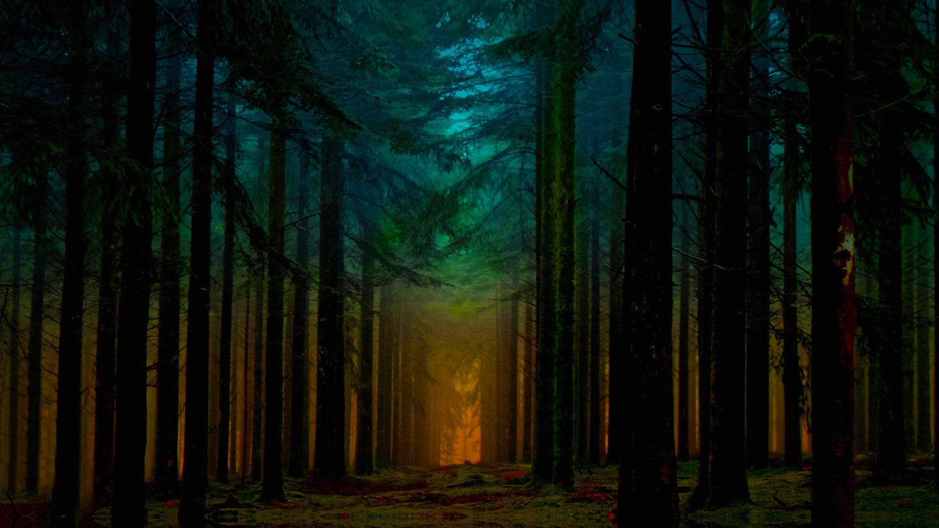 2048X1152 Forest Wallpaper and Background