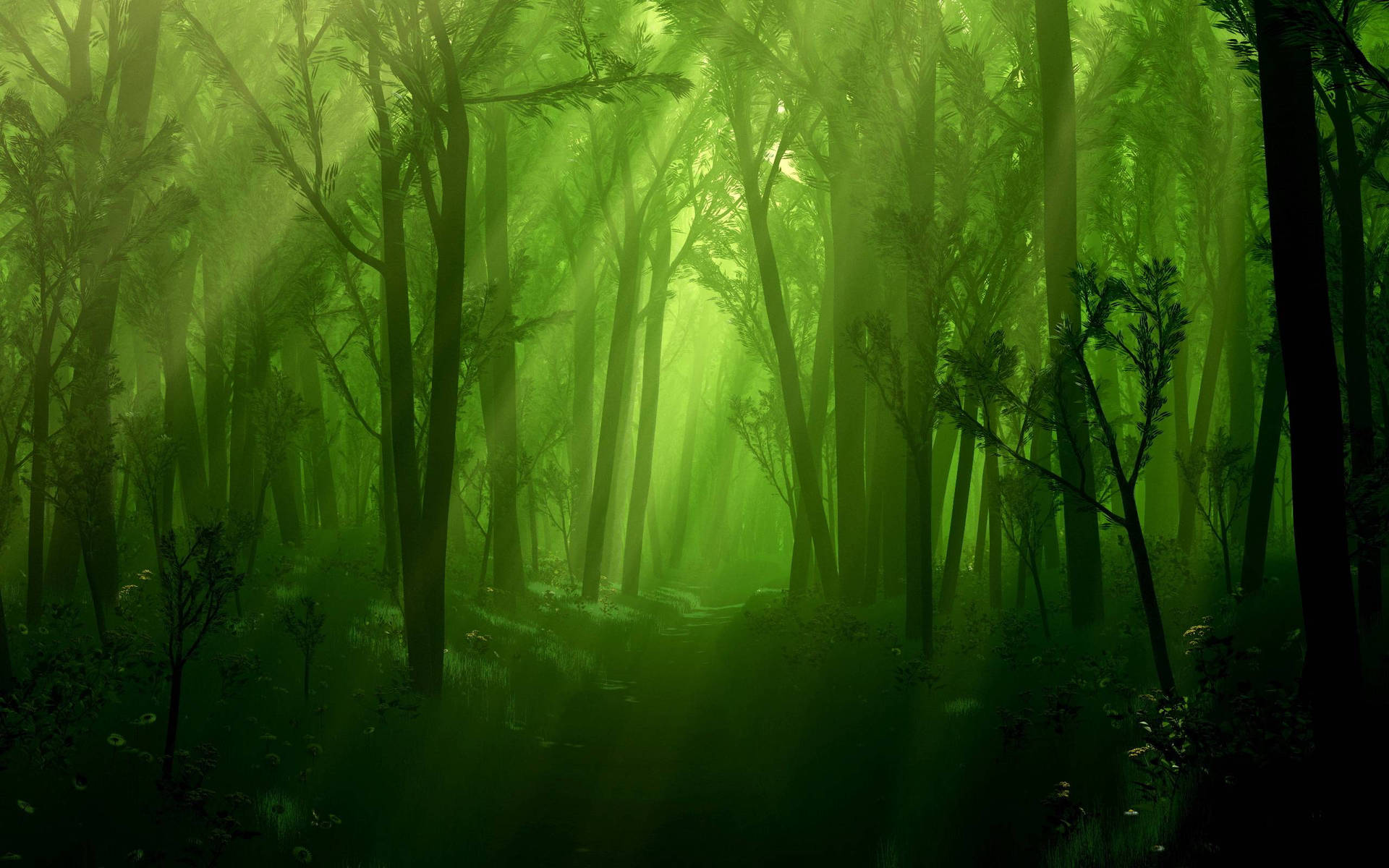 2560X1600 Forest Wallpaper and Background