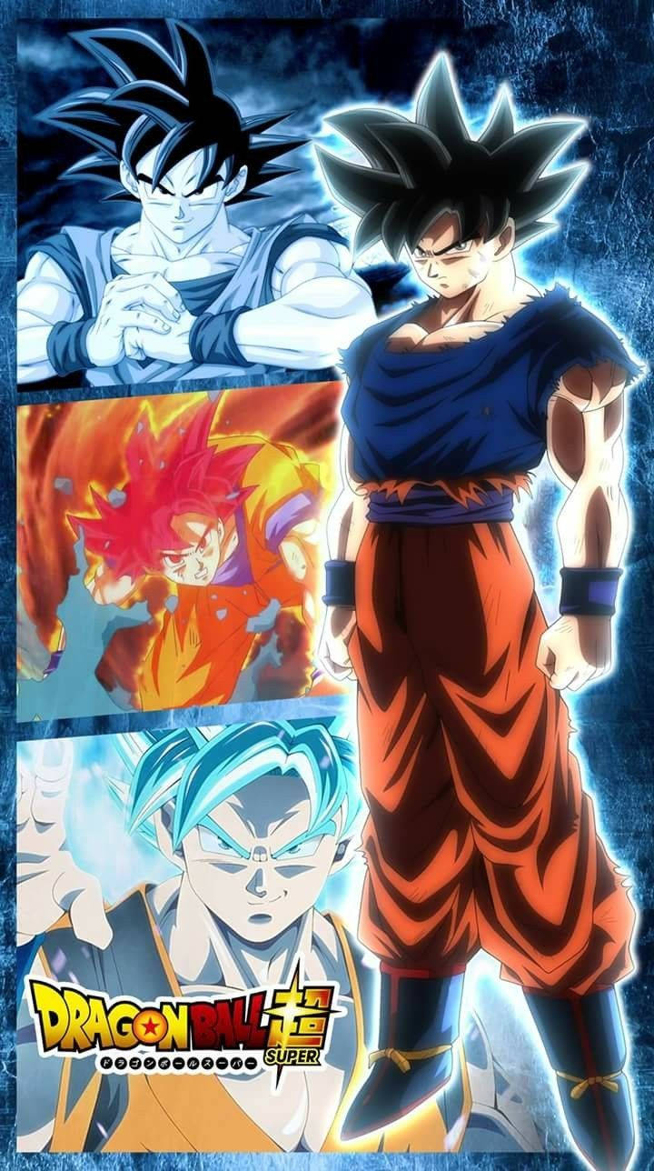 720X1288 Goku Wallpaper and Background