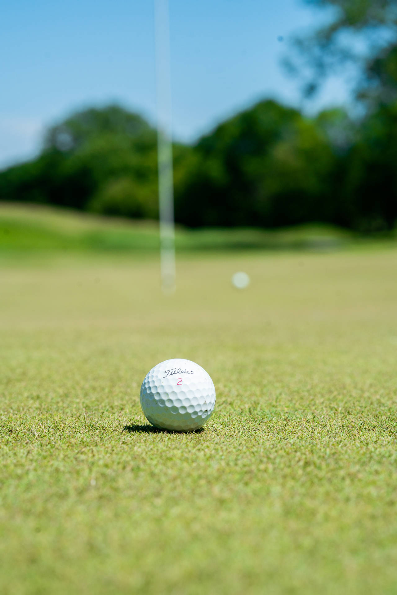4000X6000 Golf Wallpaper and Background