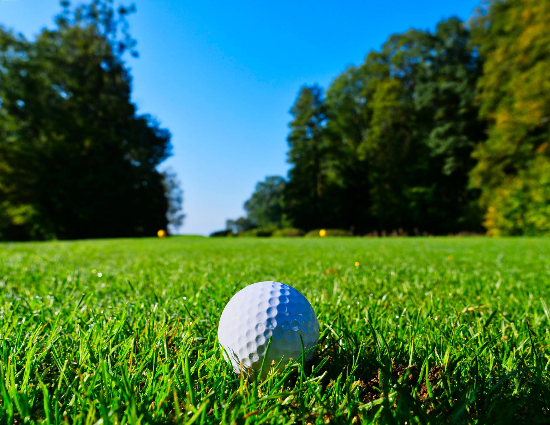 4944X3827 Golf Wallpaper and Background