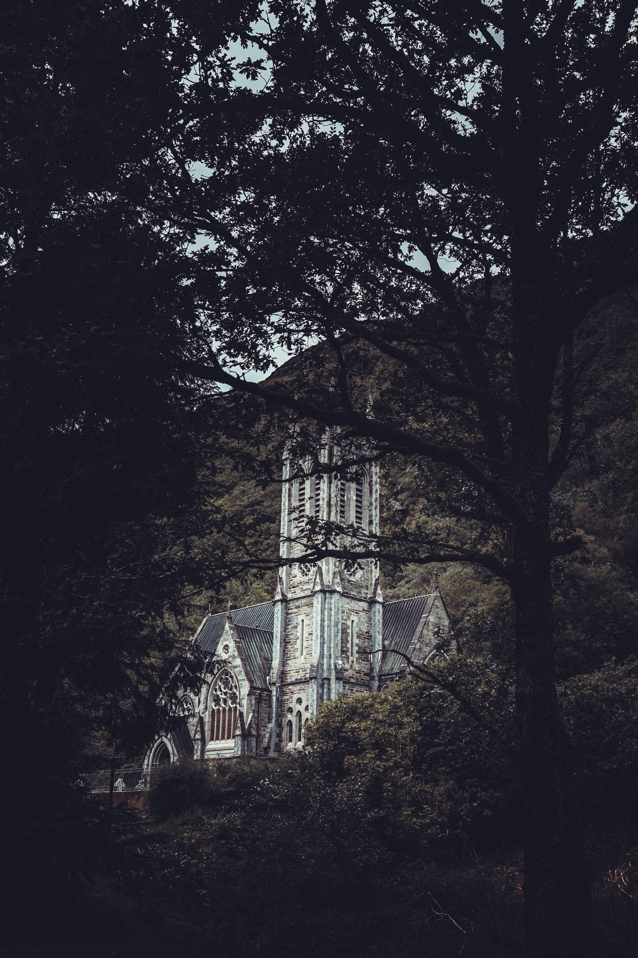 3648X5472 Gothic Wallpaper and Background