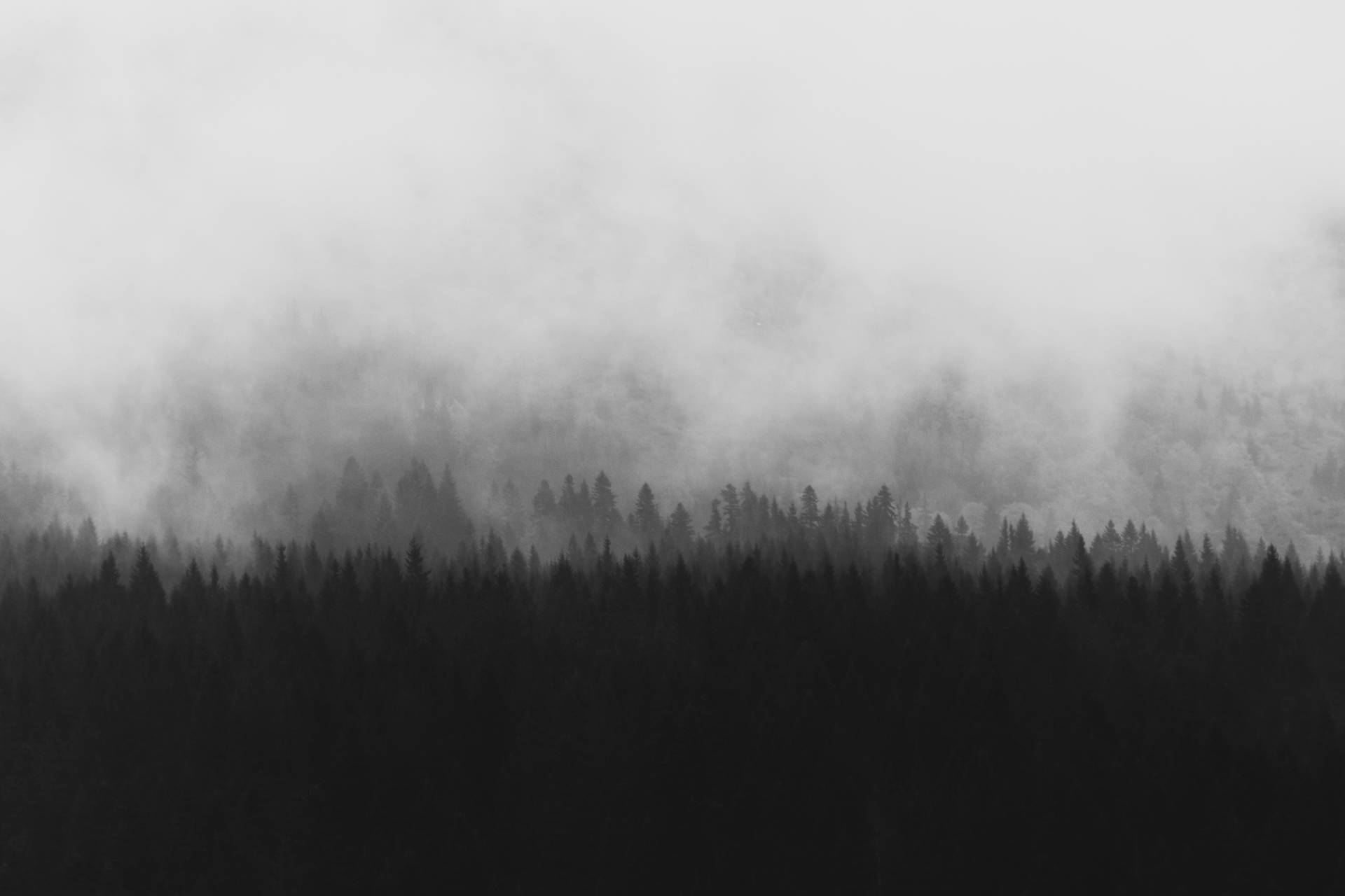 4922X3281 Gray Wallpaper and Background