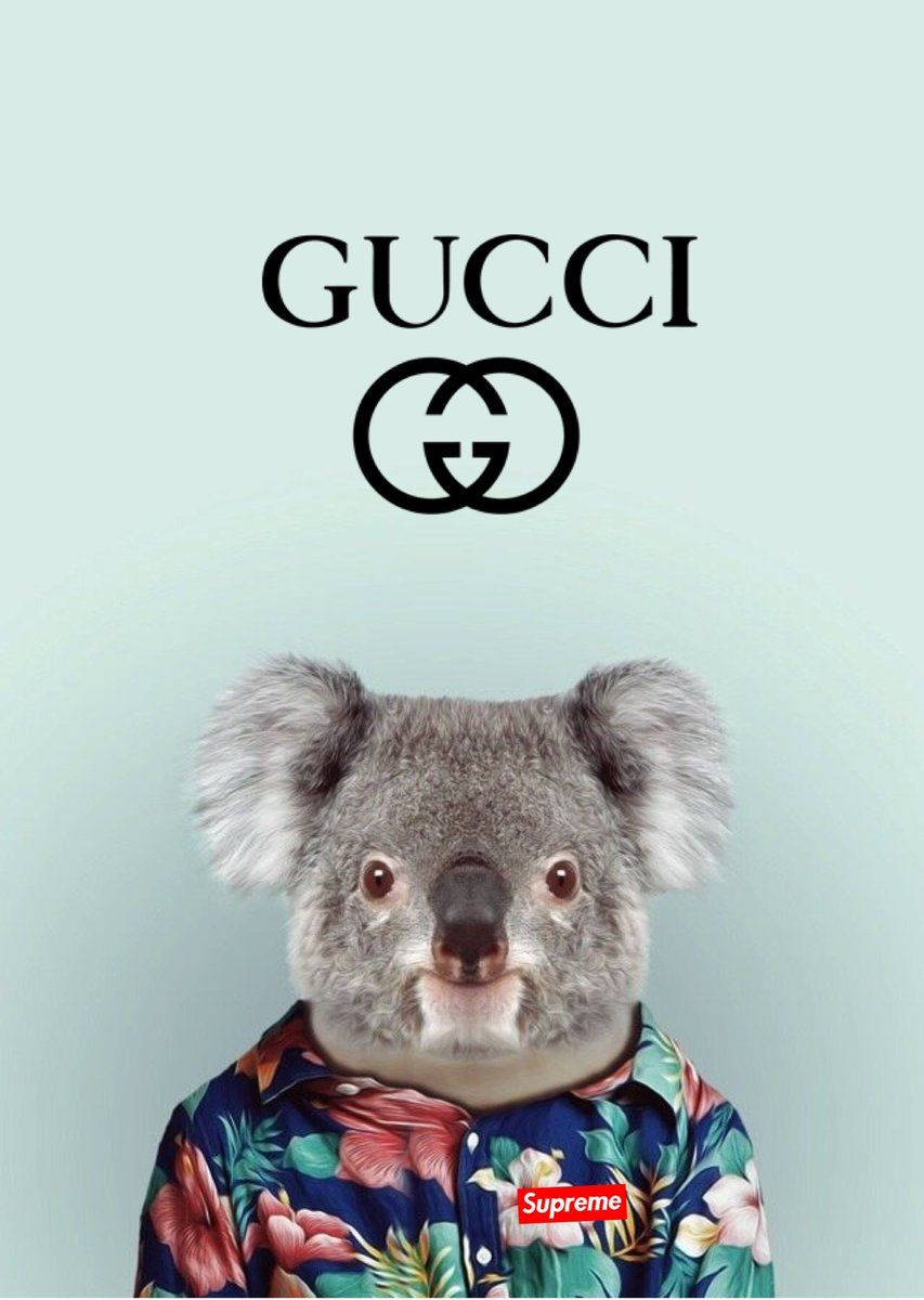 853X1200 Gucci Wallpaper and Background