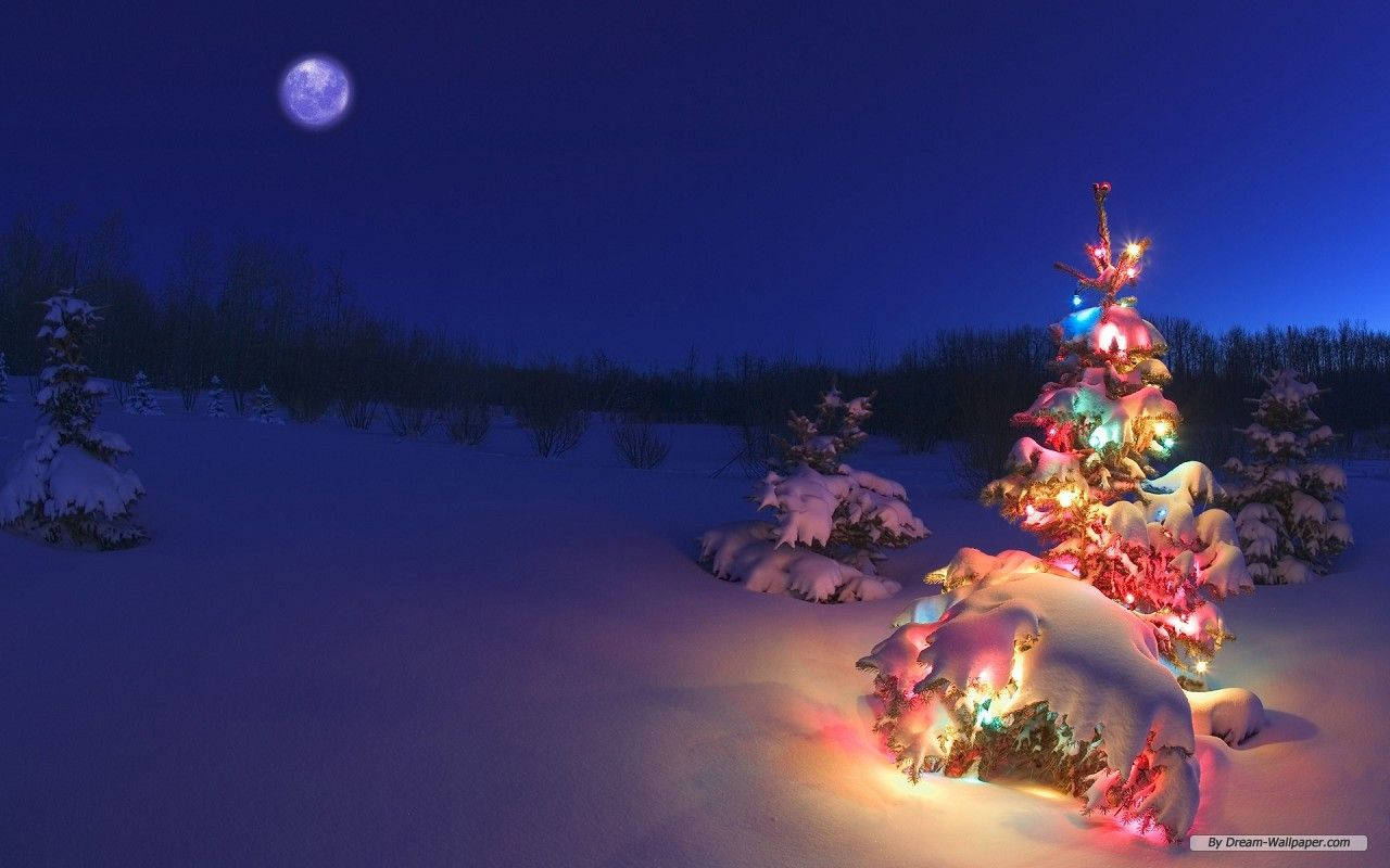 1280X800 Holiday Wallpaper and Background