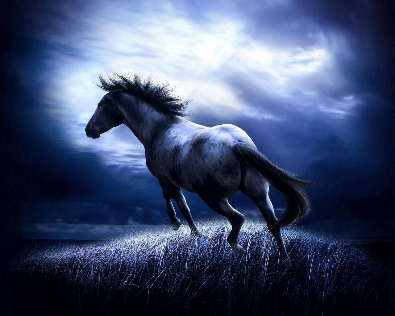1280X1024 Horse Wallpaper and Background