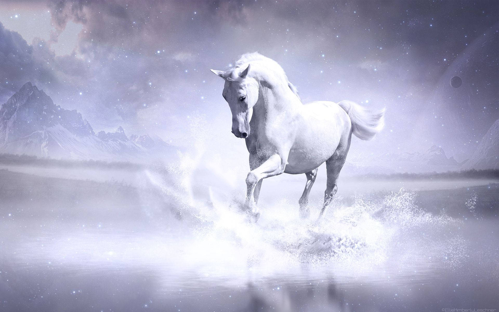 1920X1200 Horse Wallpaper and Background