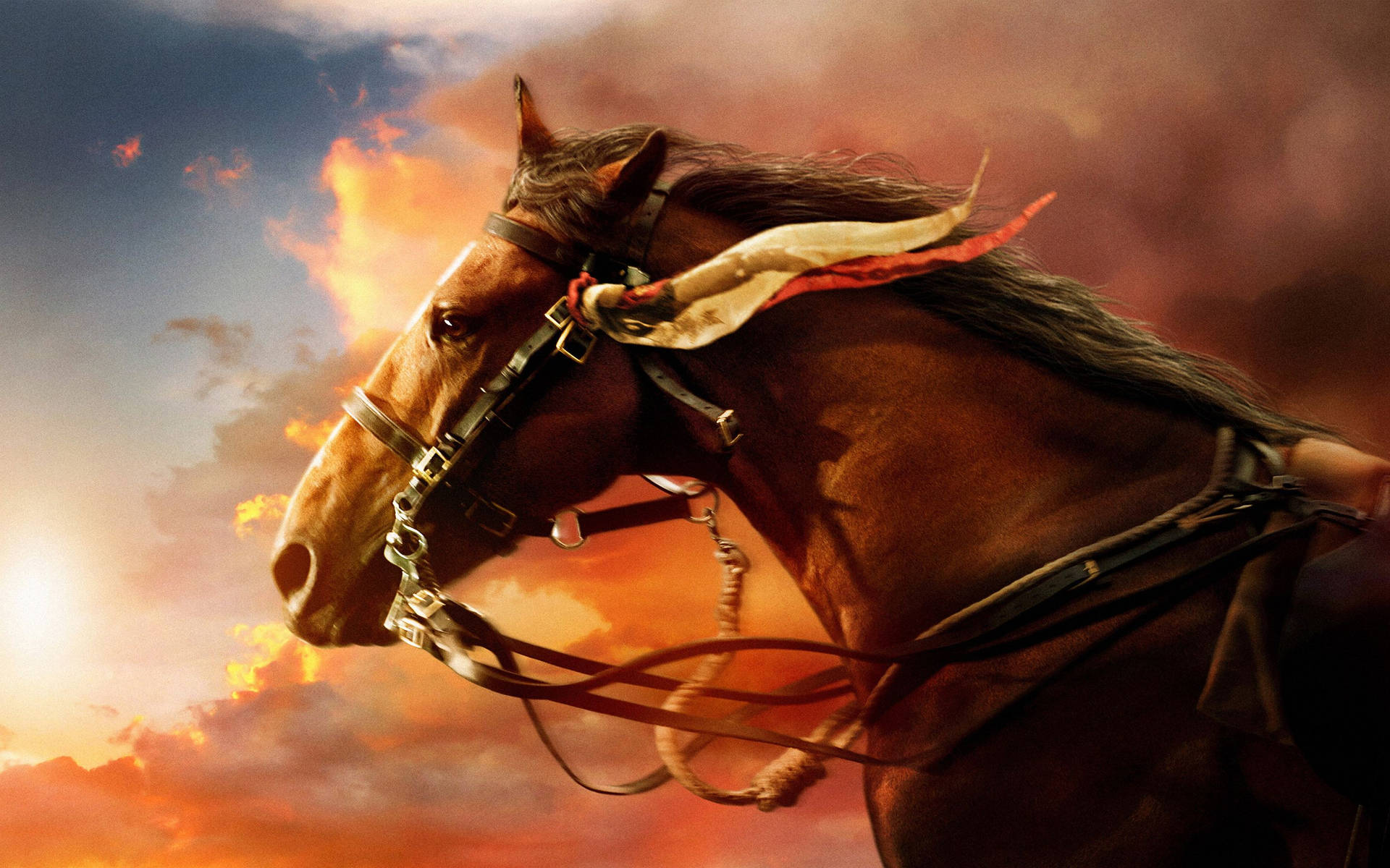 2880X1800 Horse Wallpaper and Background