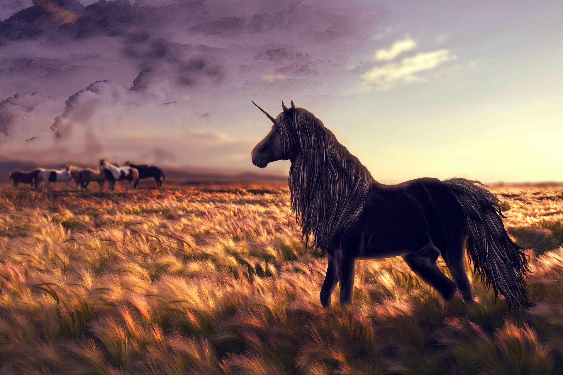 3888X2592 Horse Wallpaper and Background