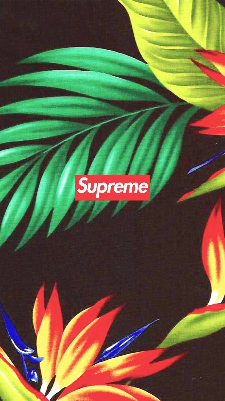750X1334 Hypebeast Wallpaper and Background