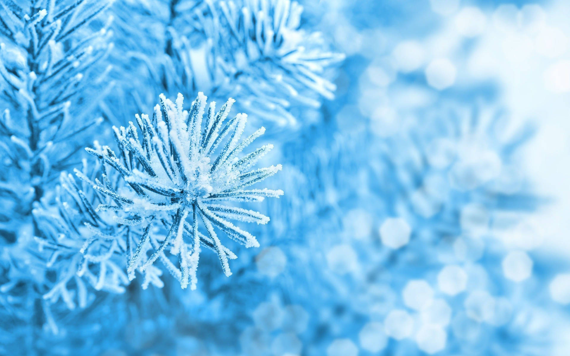 2880X1800 Ice Wallpaper and Background