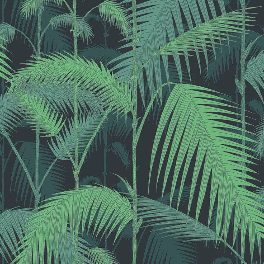 1000X1000 Jungle Wallpaper and Background