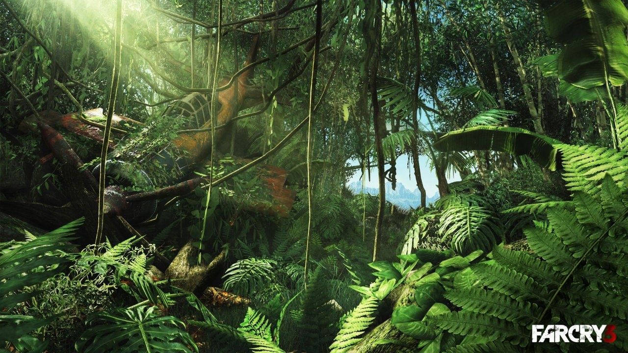 1280X720 Jungle Wallpaper and Background