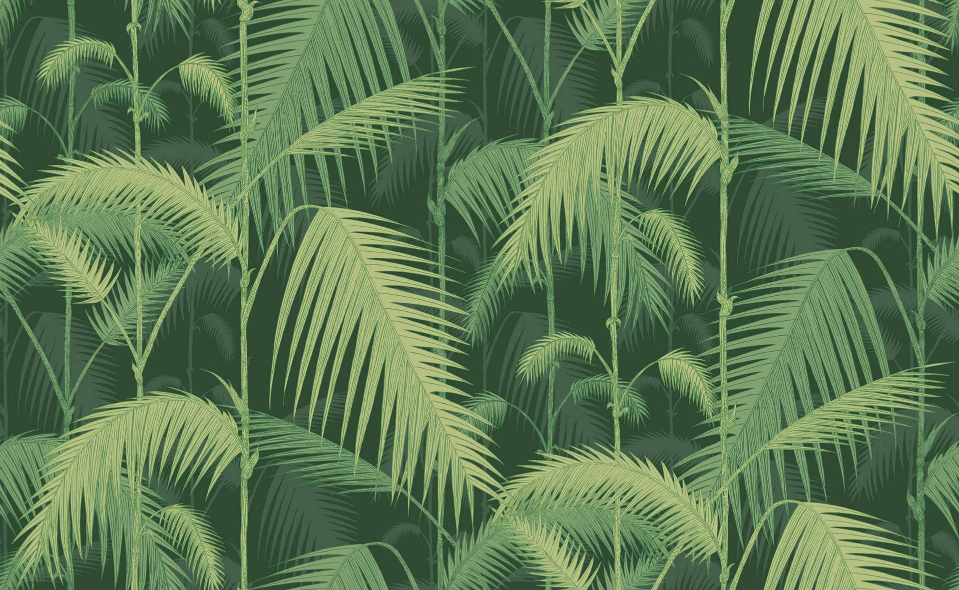 2124X1307 Jungle Wallpaper and Background