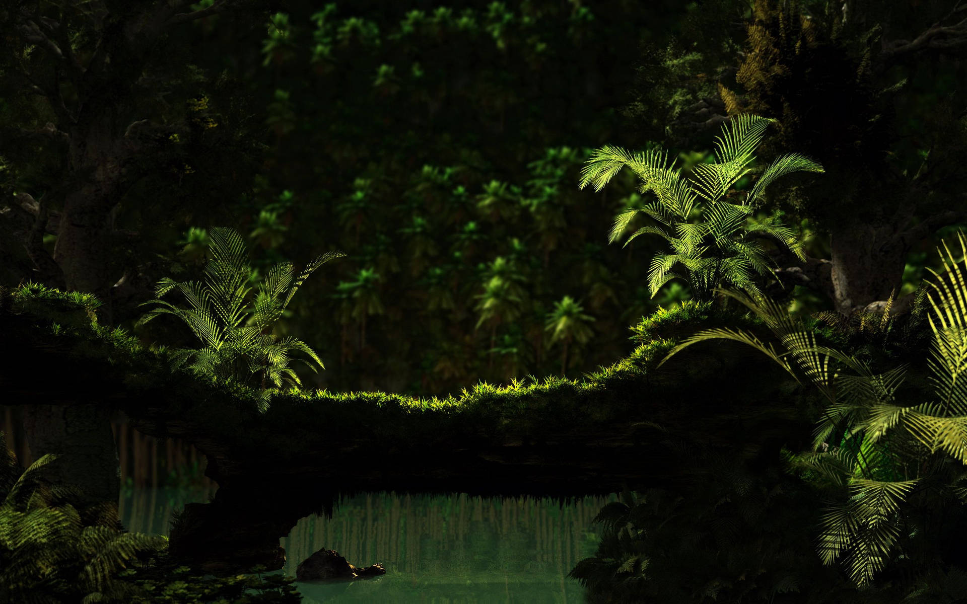 2560X1600 Jungle Wallpaper and Background