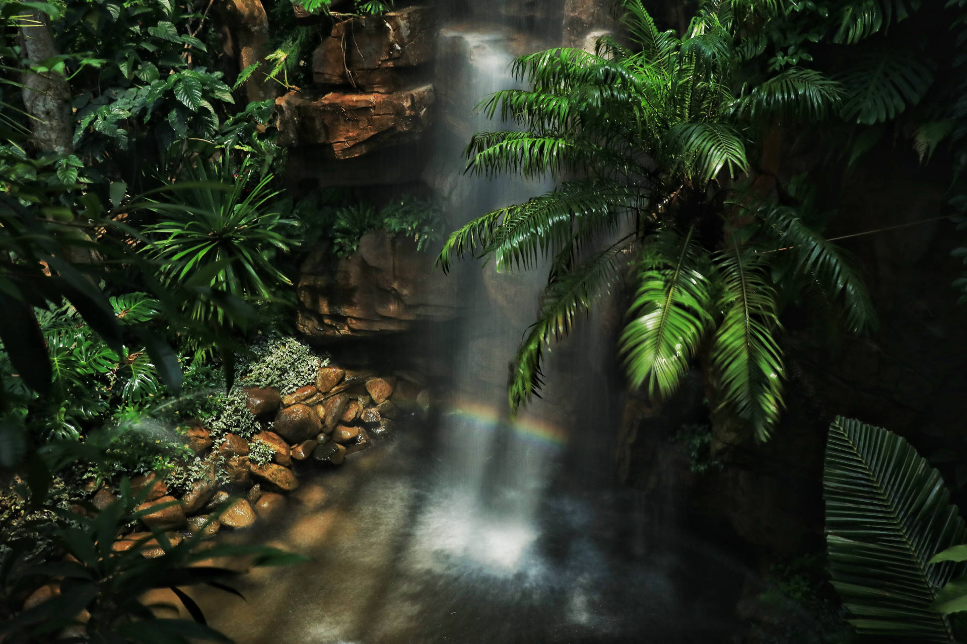5511X3674 Jungle Wallpaper and Background