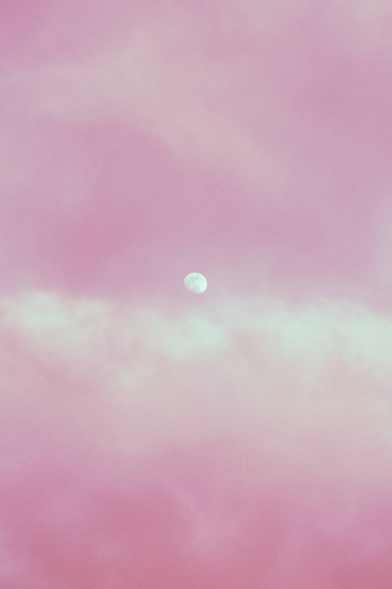 2000X3000 Light Pink Wallpaper and Background