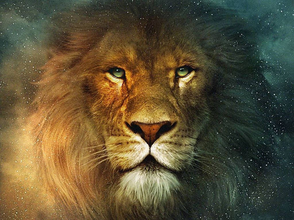 1024X768 Lion Wallpaper and Background