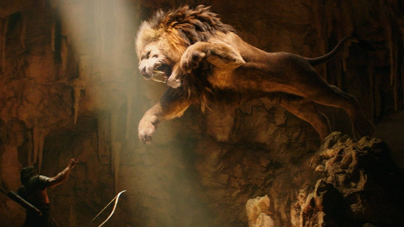 1366X768 Lion Wallpaper and Background