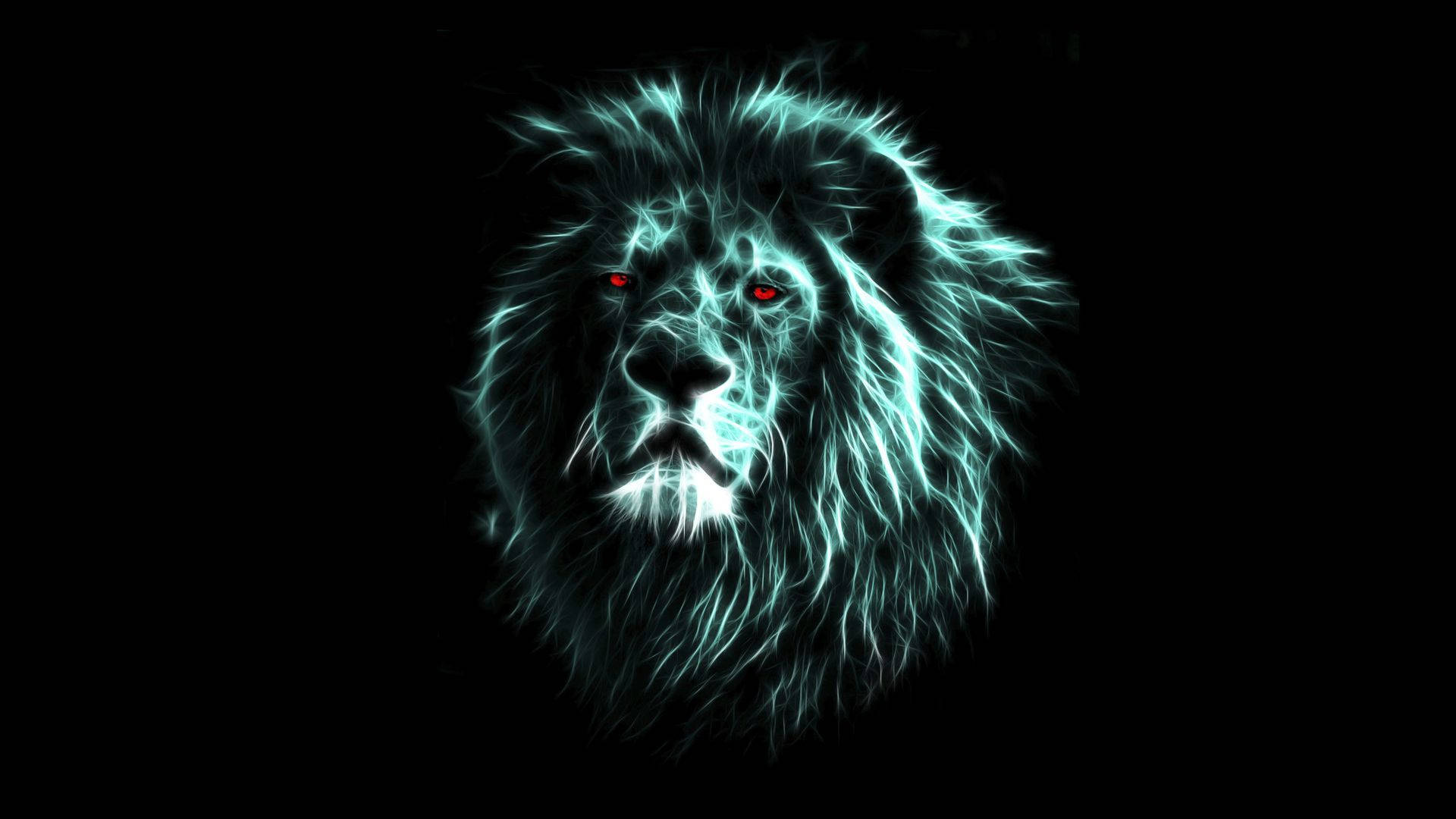 1920X1080 Lion Wallpaper and Background
