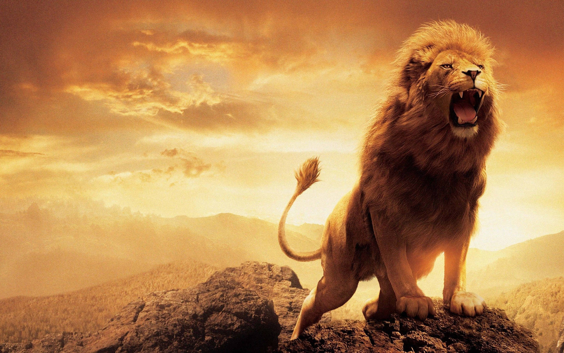 2880X1800 Lion Wallpaper and Background