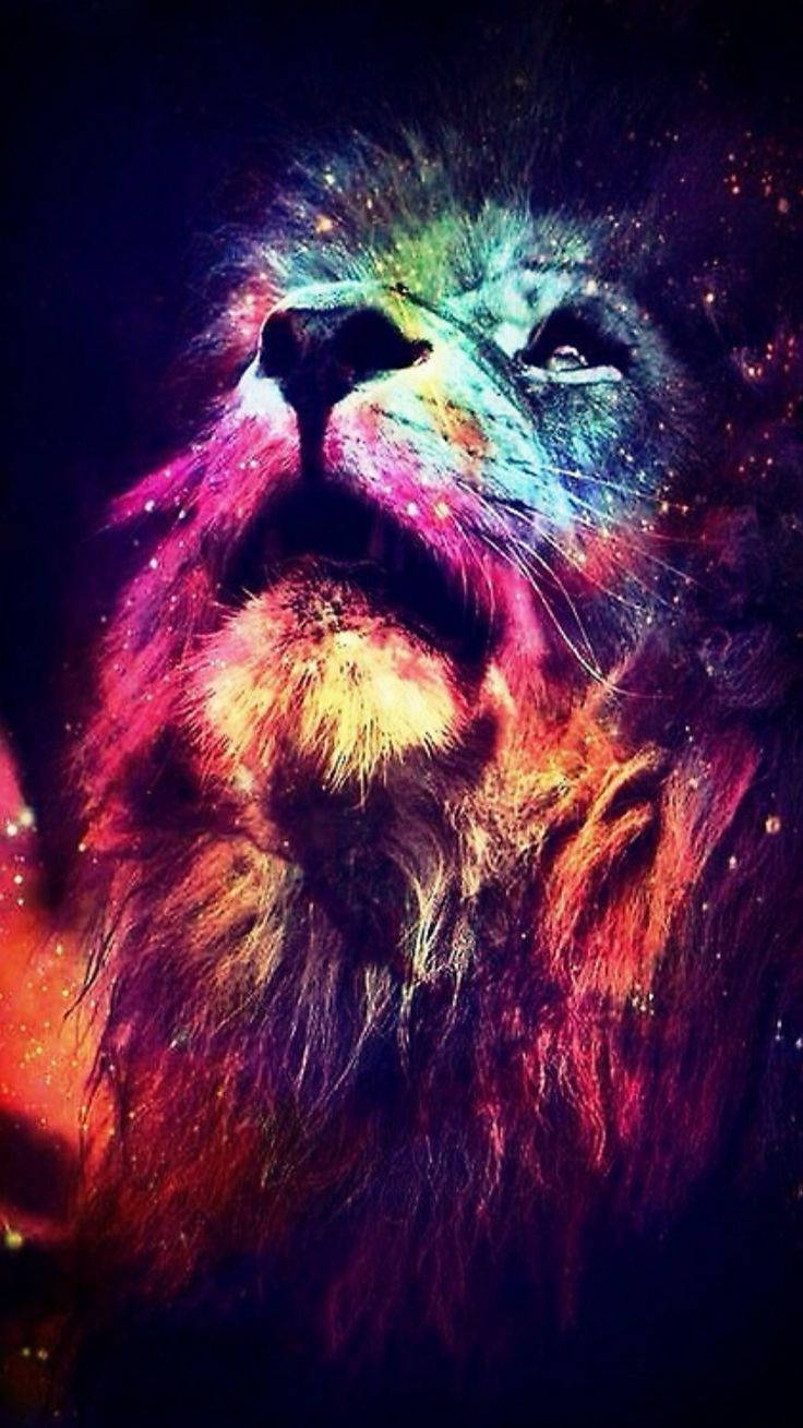 736X1309 Lion Wallpaper and Background