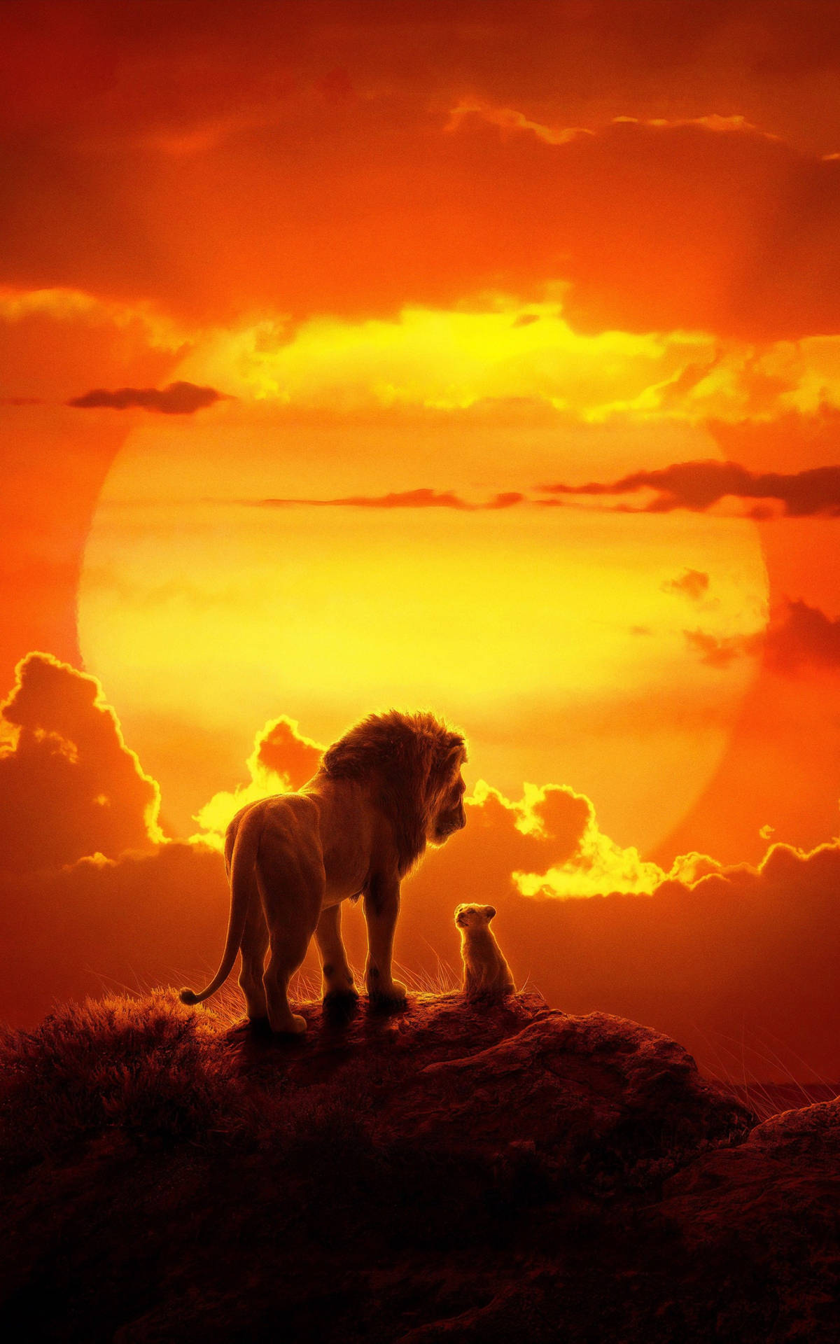 2500X4000 Lion King Wallpaper and Background