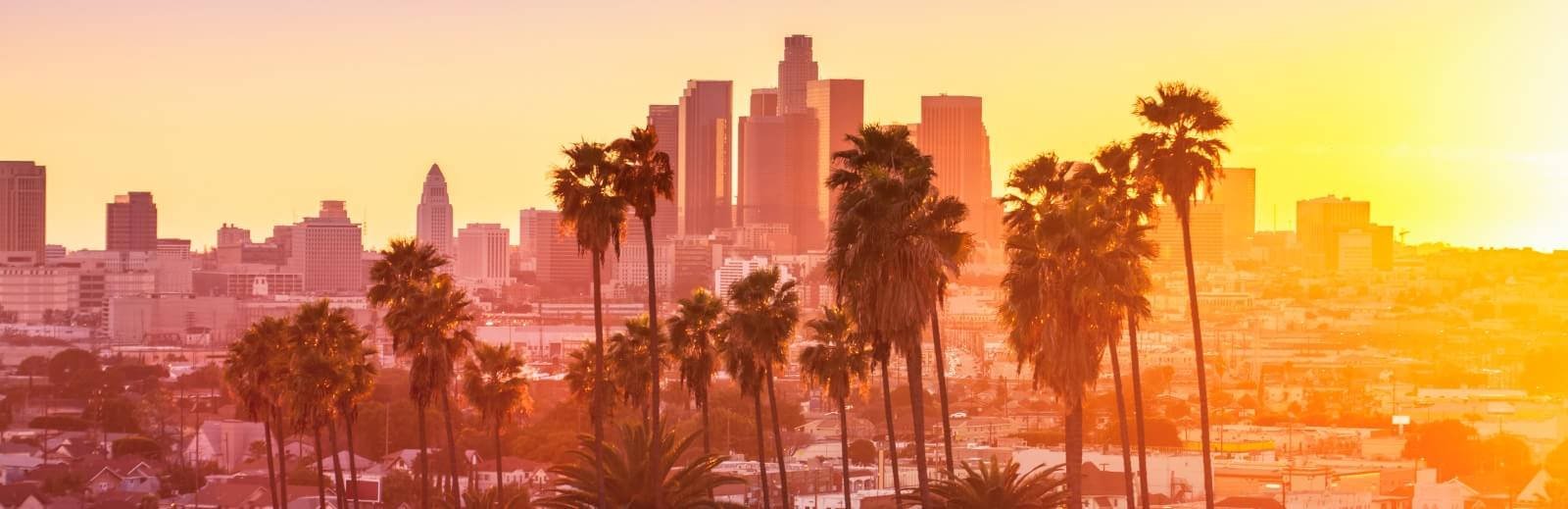 1600X519 Los Angeles Wallpaper and Background