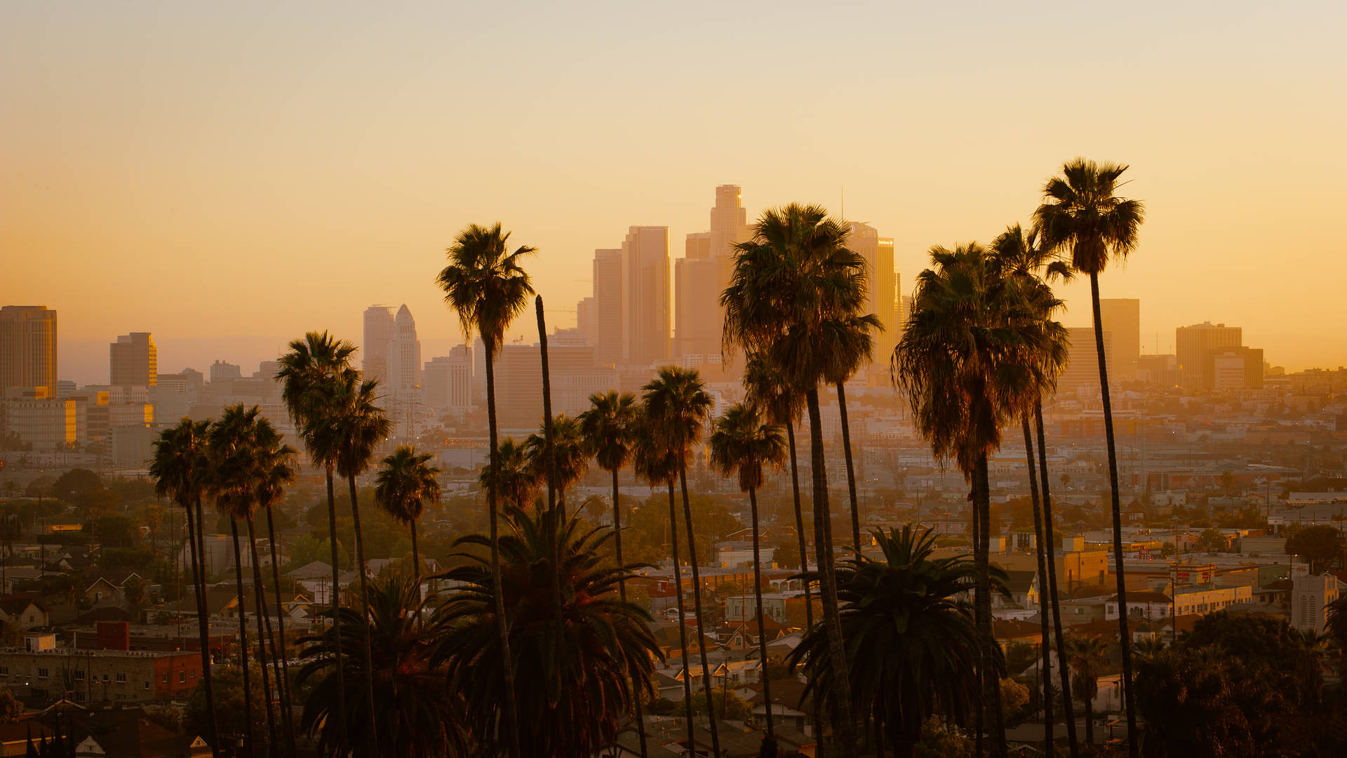 3000X1687 Los Angeles Wallpaper and Background