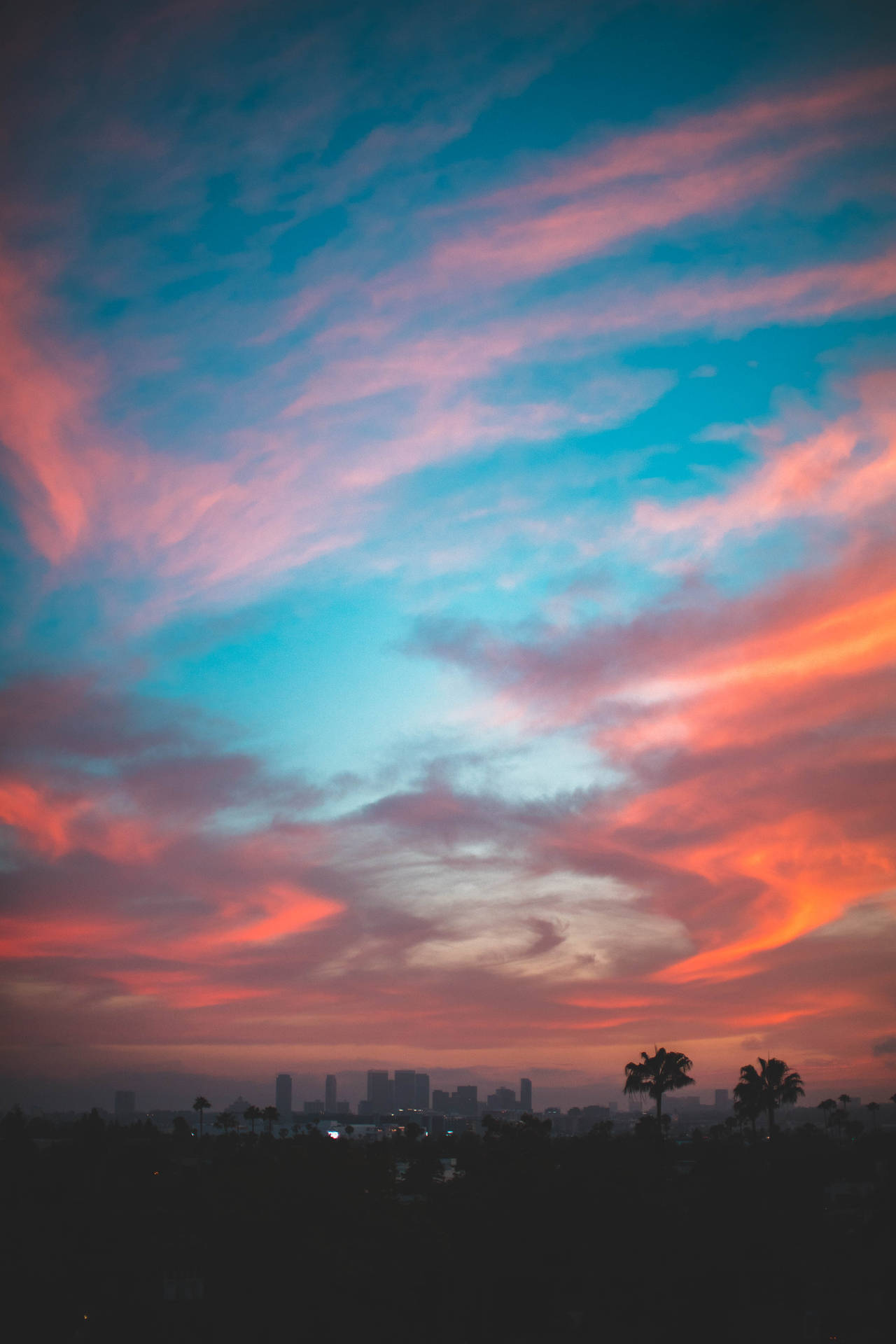 3648X5472 Los Angeles Wallpaper and Background