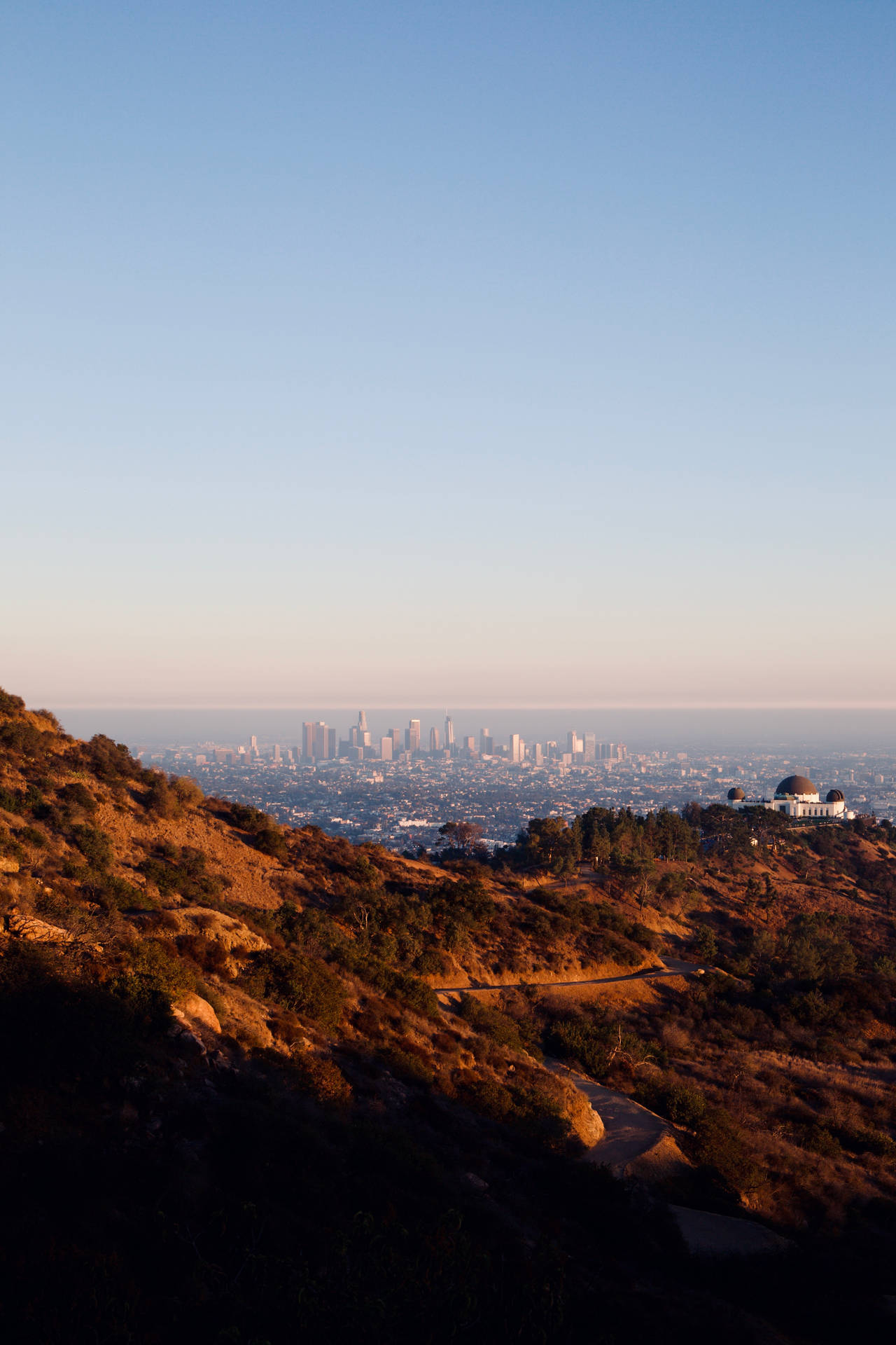 3666X5499 Los Angeles Wallpaper and Background