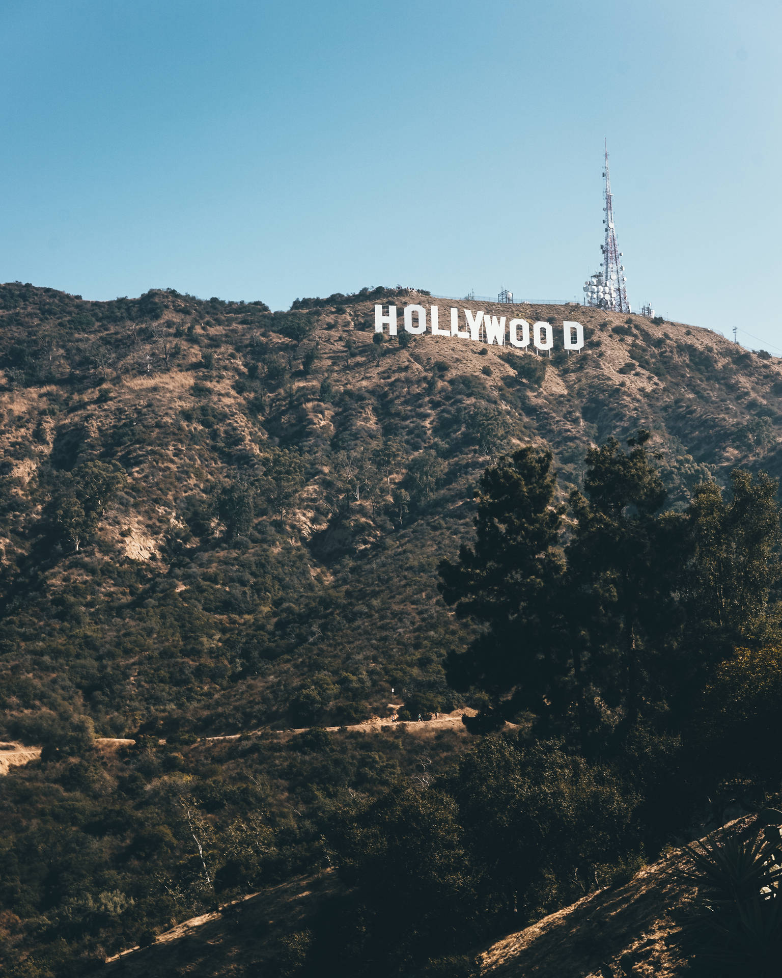 4000X5000 Los Angeles Wallpaper and Background