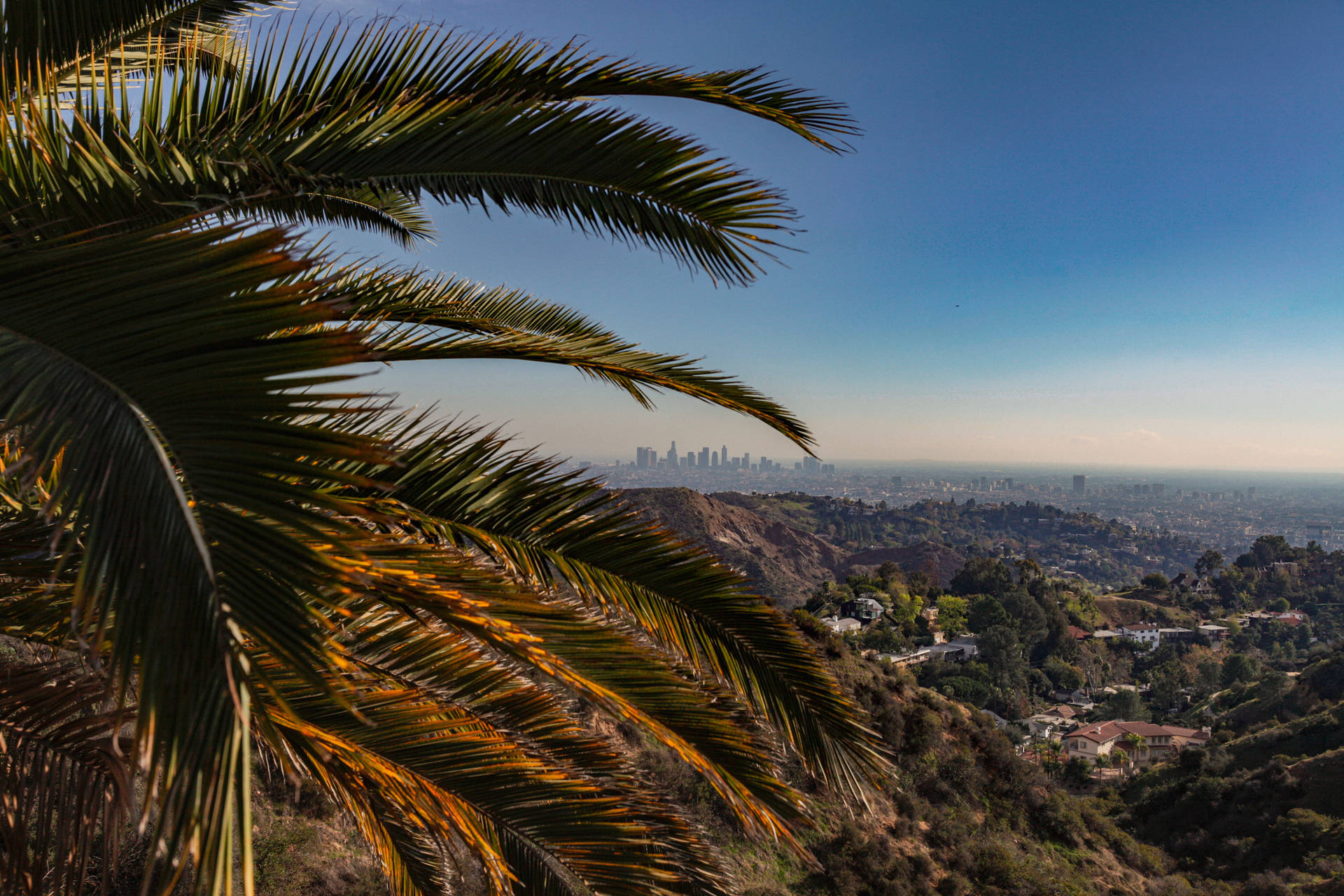 5616X3744 Los Angeles Wallpaper and Background