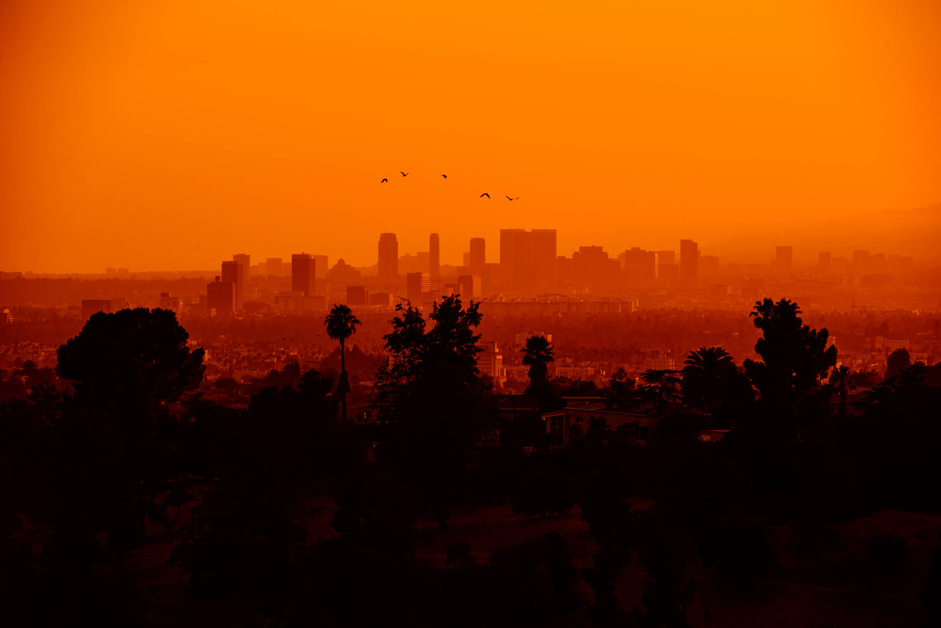 7360X4912 Los Angeles Wallpaper and Background