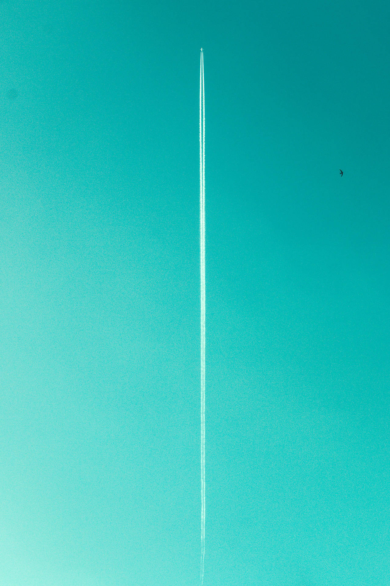 3515X5272 Minimal Wallpaper and Background