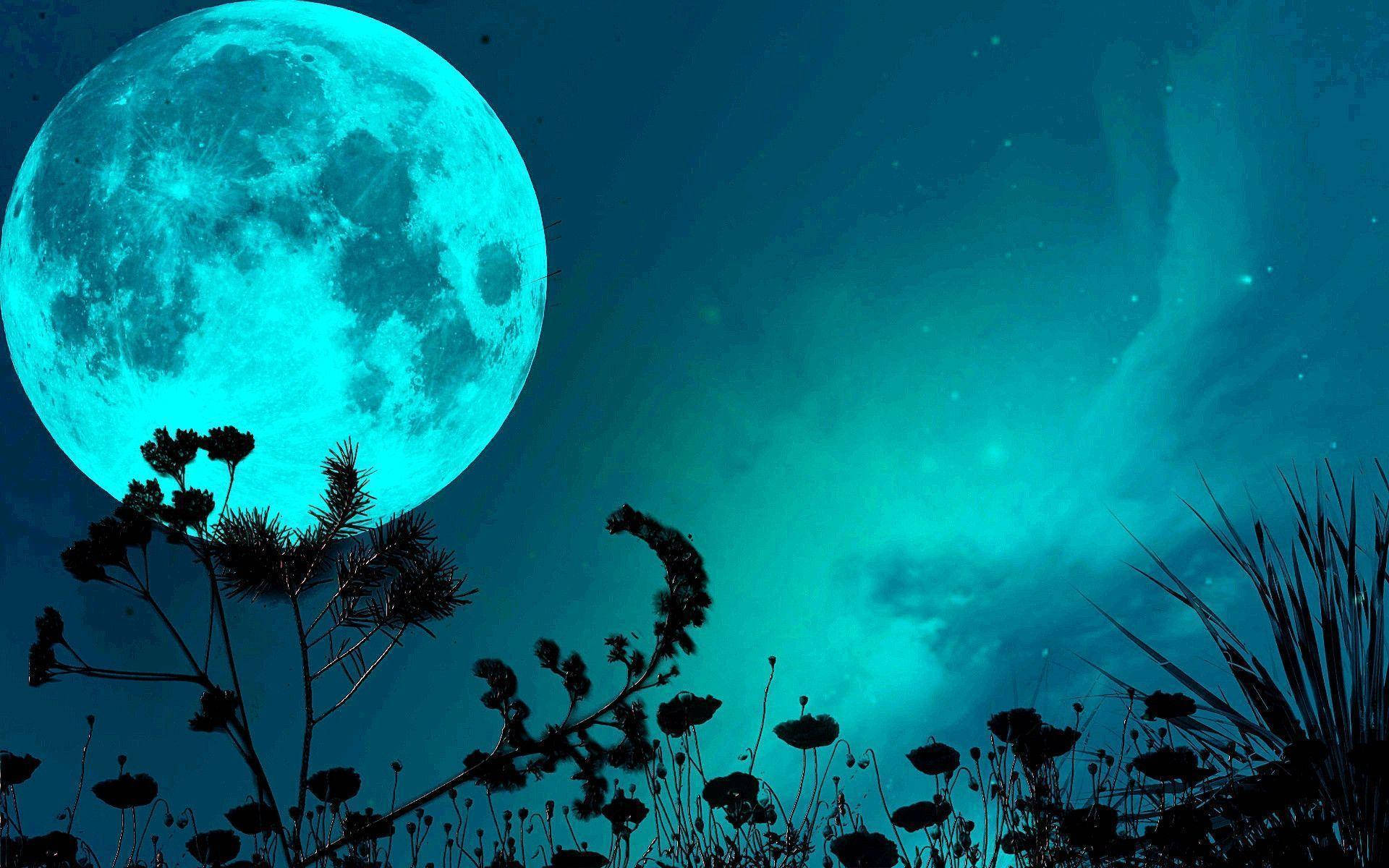 1920X1200 Moon Wallpaper and Background