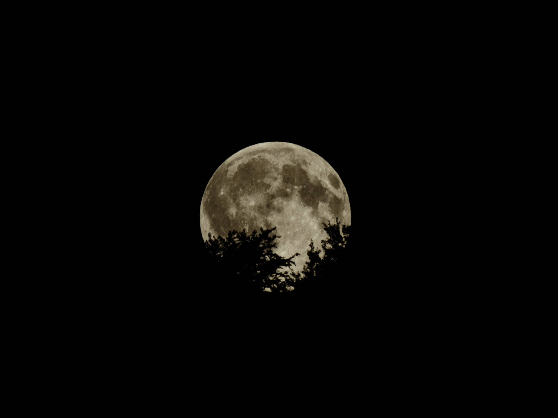 4608X3456 Moon Wallpaper and Background