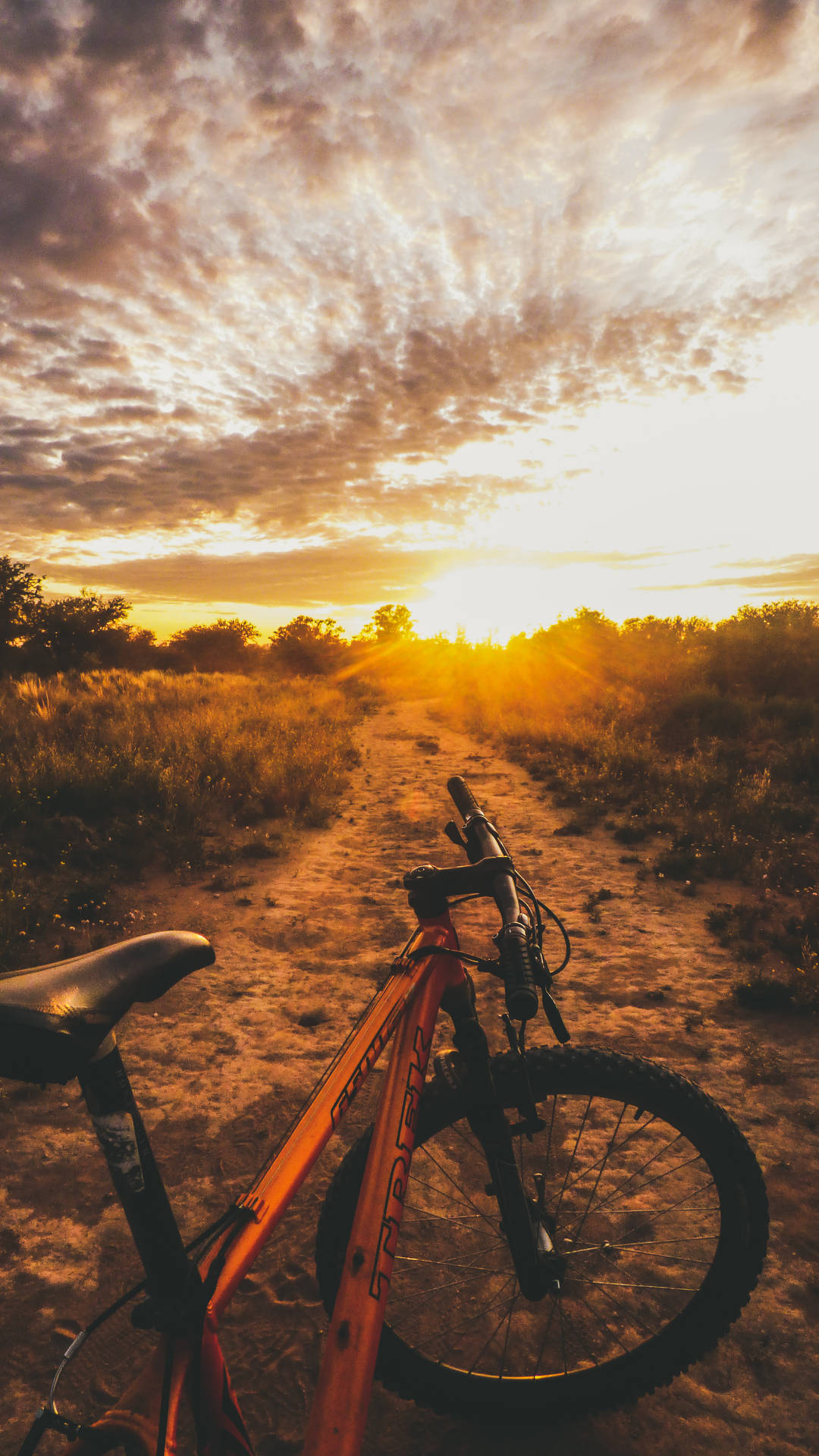 2592X4608 Mountain Bike Wallpaper and Background