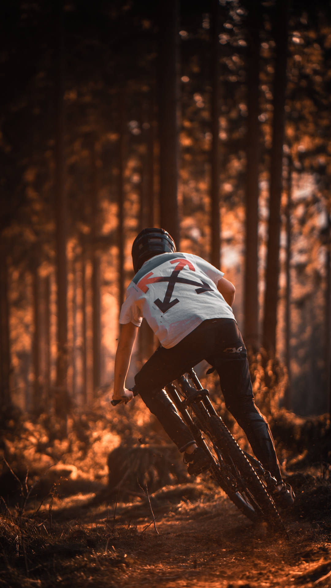 3601X6401 Mountain Bike Wallpaper and Background