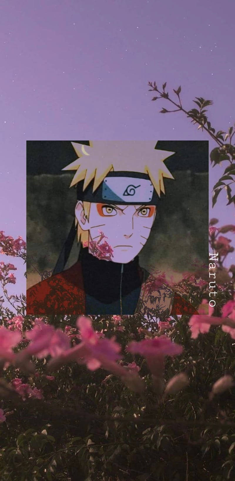 800X1632 Naruto Wallpaper and Background
