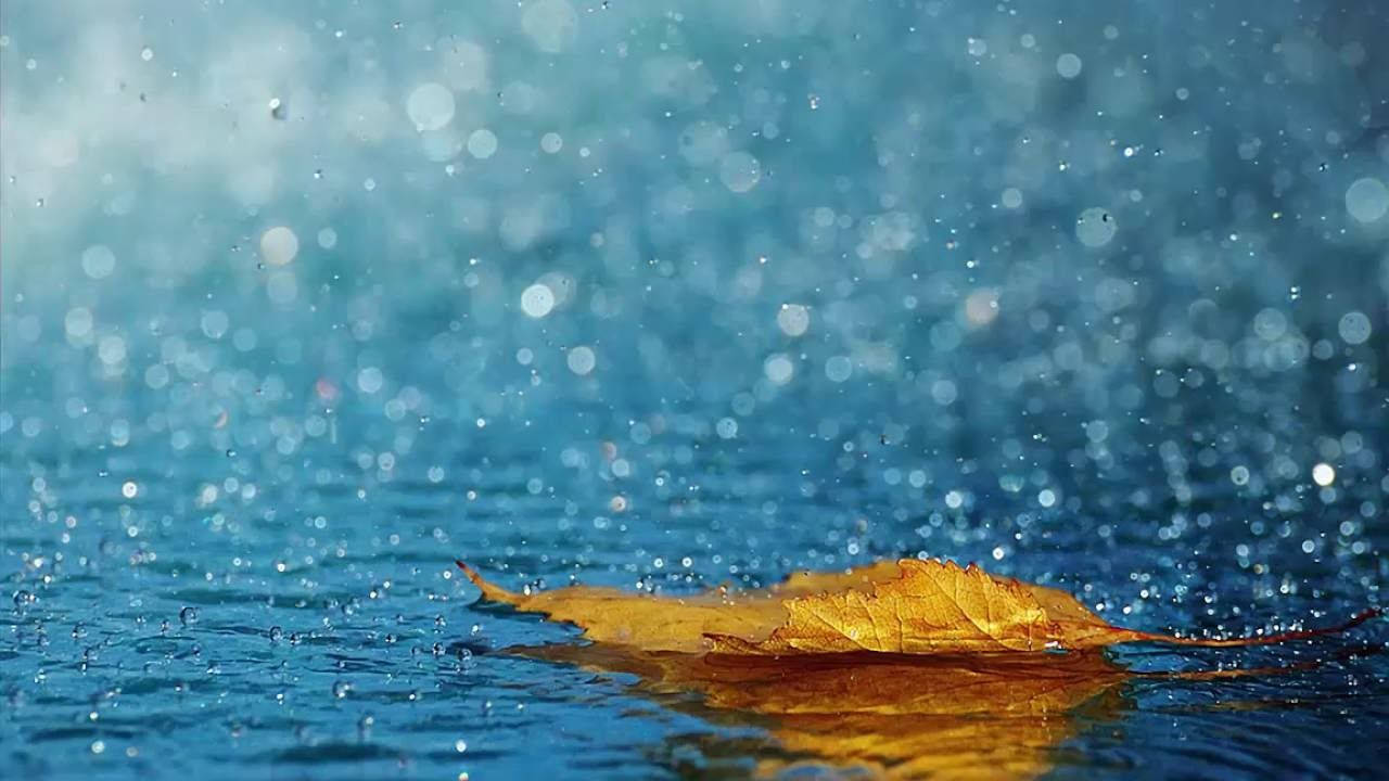 1280X720 Nature Wallpaper and Background