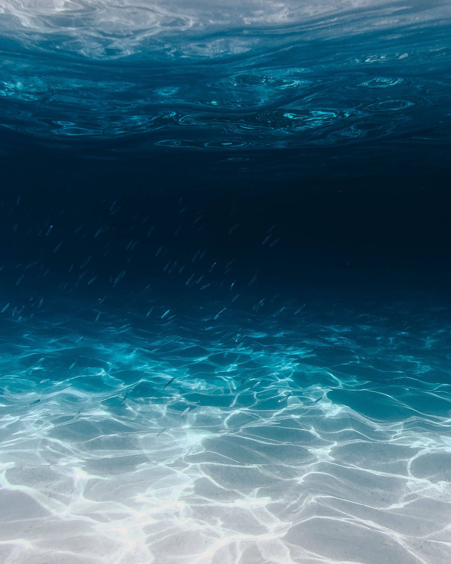 2821X3526 Ocean Wallpaper and Background