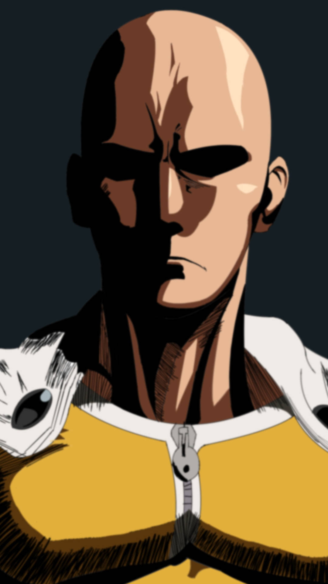 1242X2208 One Punch Man Wallpaper and Background