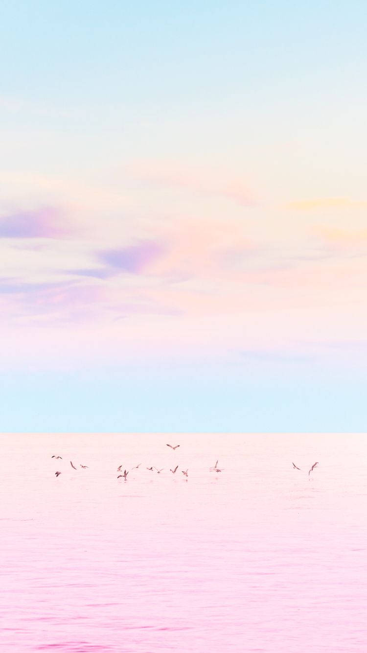 750X1334 Pastel Aesthetic Wallpaper and Background