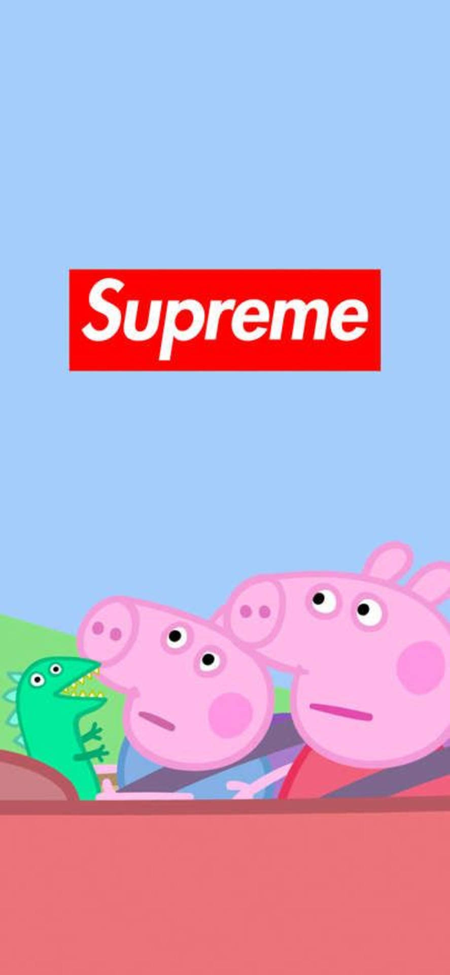 1182X2560 Peppa Pig Wallpaper and Background