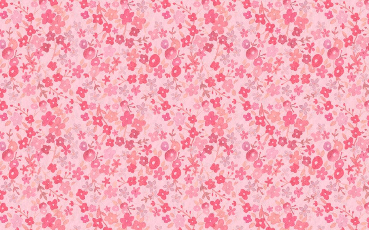 1280X800 Pink Wallpaper and Background
